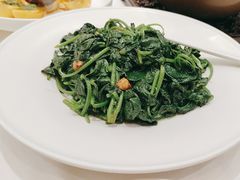 -千灯盛汇·头牌粤菜(致越优城店)