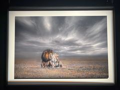 -罗红摄影艺术馆