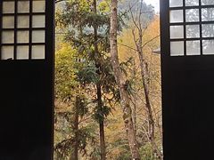 -宁海森林温泉