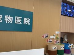 -小伙伴宠物医院•急重症转诊中心·老年专科·犬猫全科(北大街总院)