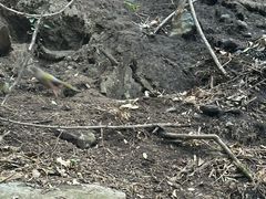-苍山感通索道