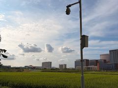 -光明小镇欢乐田园