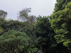 -中国科学院西双版纳热带植物园