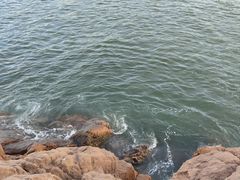 -魚當家
