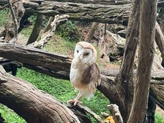 -普洱太阳河森林公园