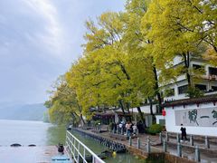 -严子陵钓台(富春江小三峡)