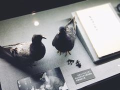 -上海公安博物馆