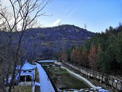 -白水寺森林公园