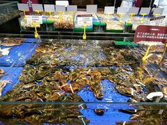 水产区-船歌·鱼水饺青岛菜(闽江二路店)