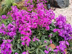 -徐家汇源景区-衡山公园