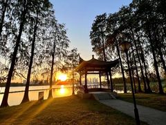 -金银湖国家城市湿地公园