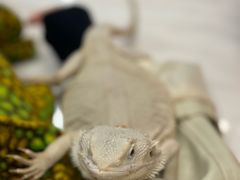 -FAIRYLAND龙族星球主题餐厅(凯丹广场店)