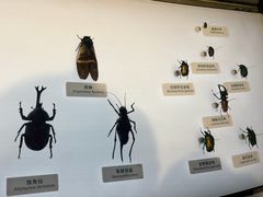 -中国湿地博物馆