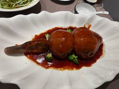 -丁老爷子苏香圆