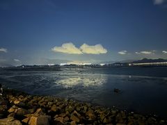 -深圳湾公园(南山区)