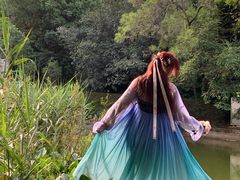 -深圳国际园林花卉博览园