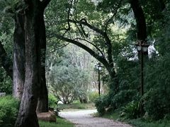 -乌山风景区