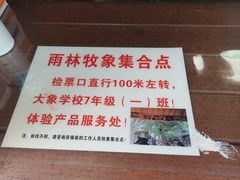 -野象谷景区