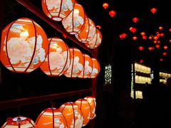 -武汉园博园(武汉自然博物馆)