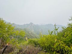 -大岭沟猕猴桃谷风景区
