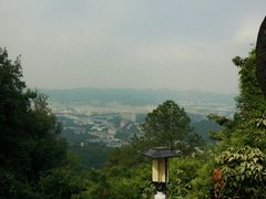 -火炉山森林公园