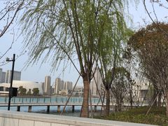 -金沙湖公园