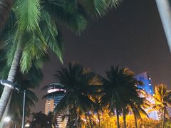 -万绿园