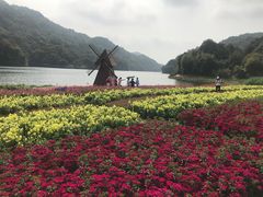 -广州市石门国家森林公园