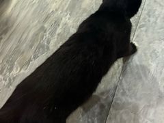 -眷江南之小蓝鲸(王府大街店)