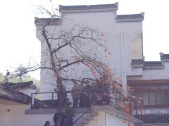 -塔川景区