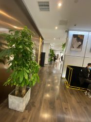 -崇尚GAVIN STYLE臻选