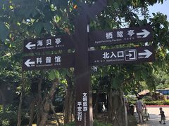 -大亚湾红树林城市湿地公园