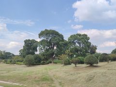 -漕湖湿地公园