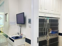 -安安宠医·安宠宠物医院