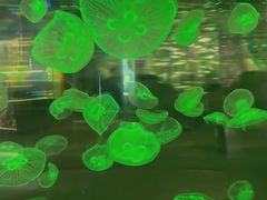 -石家庄海洋公园