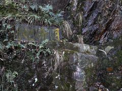 -惠山国家森林公园
