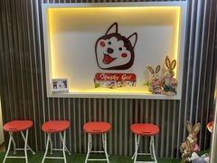 -Husky Go! 哈士奇体验馆·宠物咖啡厅狗咖