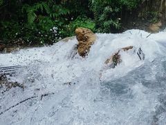 -西岭雪山大飞水景区