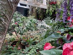 -正佳雨林生态植物园