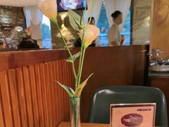 -三强鸽子(胜利路店)