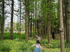 -上海长兴岛郊野公园