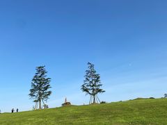 -云漫湖生态度假公园