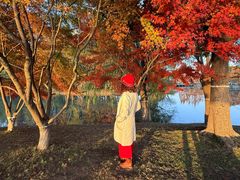 -阳澄湖费尔蒙酒店颐丰阁中餐厅(马鞍山西路店)