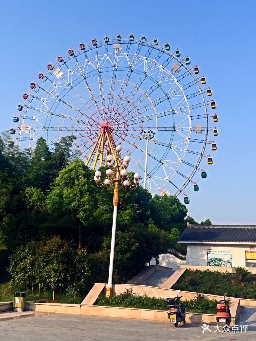 花园游乐园图片 - 第7张