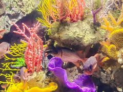 -太平洋海底世界