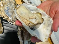 压锅生蚝-亦庄碳烧鸽子王串吧