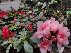 -不夜天烧烤牛骨头(南湖店)