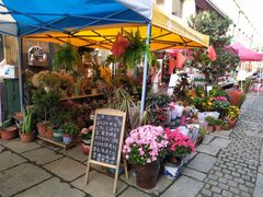 -川沙古镇-停车场