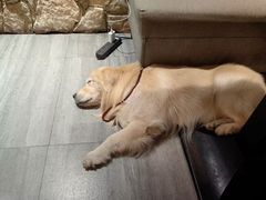 -LA CREPERIE BRETONNE布列塔尼法式餐厅(天童北路店)