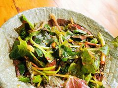 拌折耳根-青城甲(青城山店)